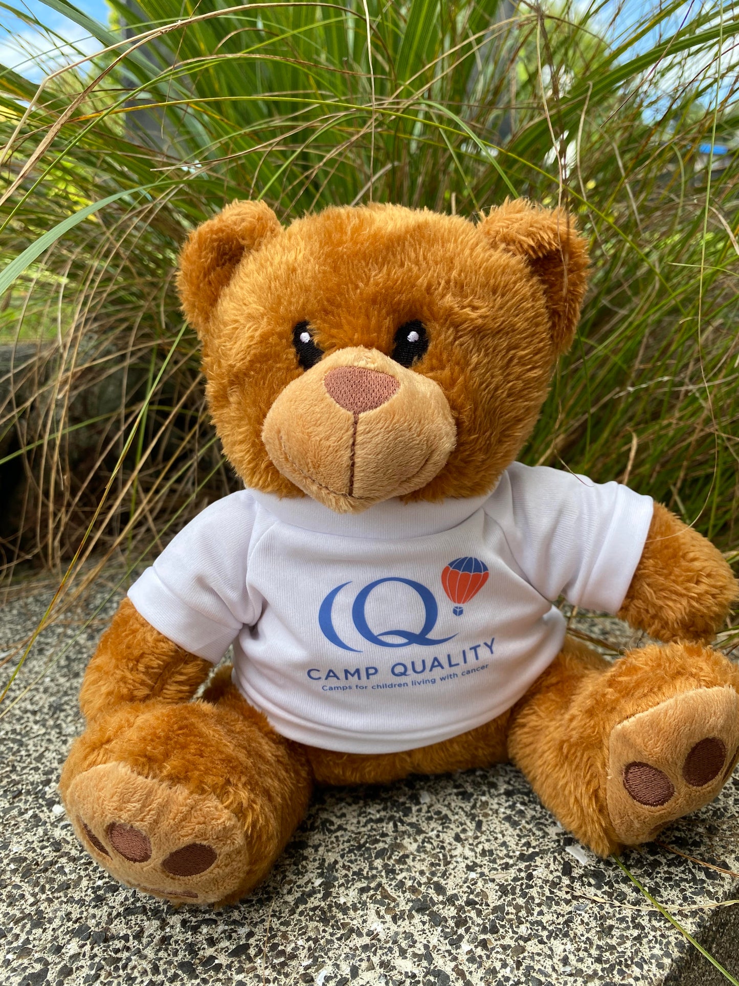 Champion - the Camp Quality supporter's bear